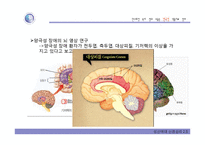 우울증과 조울증의 신경생물학-16