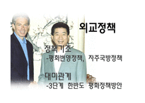 참여정부 시기의 한국정치-13