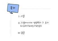 소셜테이너의 영향력과 그 파급 효과-2
