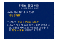 EU경제와 모습 레포트-9