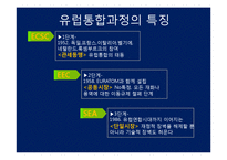 EU경제와 모습 레포트-11