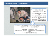 미디어 점화 효과-18
