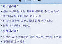 유전자 조작과 종교-15