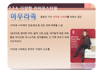 외모지상주의(루키즘), 웰루킹-15