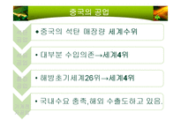 중국경제 레포트-5