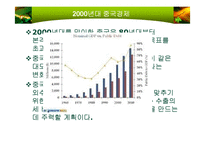 중국경제 레포트-20