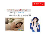 광고에 대해서 레포트-18