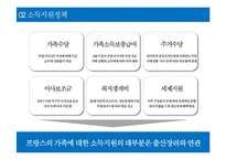 프랑스의 가족정책-6
