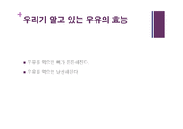 [음식문화] 우리가 먹는 음식들의 불편한 진실들-6
