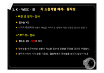 심리검사 분석 레포트-13