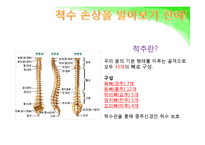 [의료사회복지] 척수손상-3