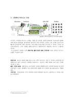소셜커머스 그루폰 GROUPON 기업분석및 그루폰 마케팅전략분석과 그루폰 향후전망-14