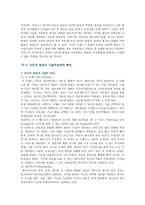 [인터넷방송] 인터넷방송의 특성 및 개선방안-8