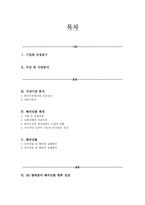 [국제경영] SK 텔레콤의 해외진출 실패 사례와 미래 방향-2