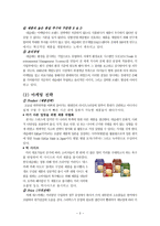 [국제마케팅] Nestle 네슬레 이스라엘 초콜릿 시장 진출 전략(가상의 전략 수립)-5