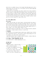 [국제마케팅] Nestle 네슬레 이스라엘 초콜릿 시장 진출 전략(가상의 전략 수립)-8