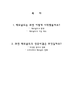 [국제경영] 성공한 다국적기업 `맥도날드`-2