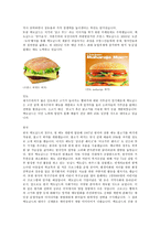 [국제경영] 성공한 다국적기업 `맥도날드`-7