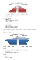 [국제마케팅] 마스크팩 카타르 시장 진출-7