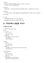 [국제마케팅] 마스크팩 카타르 시장 진출-10