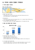 [국제마케팅] 마스크팩 카타르 시장 진출-12