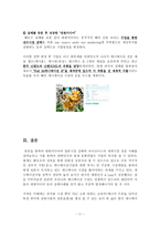 [국제경영] 대원미디어 `녹색전차 해모수` 해외진출 실패 사례-11