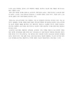 [마케팅전략] 인도에서 LG전자 현지화 전략 성공사례-20