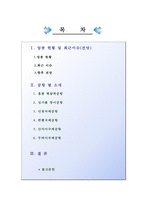 [글로벌 물류경영전략] 공항 -홍콩 책랍콕 공항, 싱가폴 창이공항, 인천국제공항, 뮌헨국제공항, 간사이국제공항, 두바이국제공항을 중심으로-2