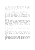 [글로벌 물류경영전략] 공항 -홍콩 책랍콕 공항, 싱가폴 창이공항, 인천국제공항, 뮌헨국제공항, 간사이국제공항, 두바이국제공항을 중심으로-16