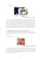 [마케팅] `소셜 슈머`를 위한 CSR과 CSV, 그리고새로운 마케팅 전략 -마케팅 믹스를 중심으로-11
