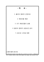 [국제경영] 롤리타 렘피카의 해외진출 성공요인 분석-2