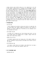[국제경영] 롤리타 렘피카의 해외진출 성공요인 분석-3