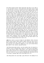 [국제경영] 롤리타 렘피카의 해외진출 성공요인 분석-5