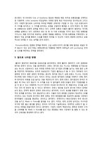 [국제경영] 롤리타 렘피카의 해외진출 성공요인 분석-6