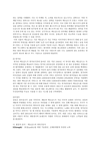 [국제경영] 맥도날드의 세계화의 원동력, 마케팅전략-5