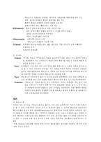 [국제경영] 맥도날드의 세계화의 원동력, 마케팅전략-6