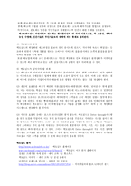 [국제경영] 맥도날드의 세계화의 원동력, 마케팅전략-7