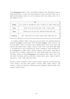 [마케팅믹스] 글로벌스타(Globalstar) 사례-6
