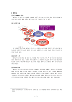[국제마케팅] 오리온 초코파이 해외시장 진출-8