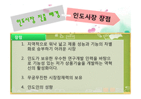 [마케팅전략] 인도에서 LG전자 현지화 전략 성공사례-6