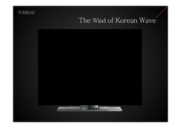 [마케팅] 원더걸스를 통해 본 케이팝의 미래-4
