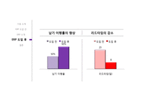 [경영정보] 태광실업 ERP 사례 조사-13