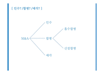 [글로벌경영] 해외인수합병-10