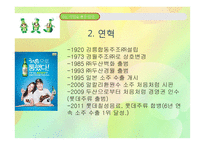 [국제경영] 처음처럼 호주 진출전략-4