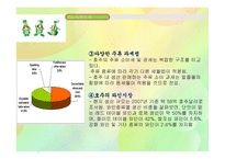 [국제경영] 처음처럼 호주 진출전략-10