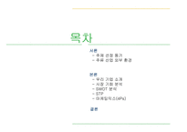 [가상제품] 레몬과 매실을 담아 만든 매실주 마케팅전략-2