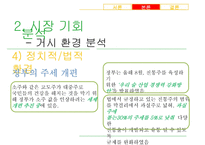 [가상제품] 레몬과 매실을 담아 만든 매실주 마케팅전략-9