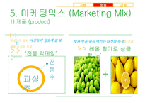[가상제품] 레몬과 매실을 담아 만든 매실주 마케팅전략-19