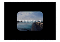 [관광학] 생태관광 개념 및 필요성, 해외 사례-6