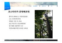 [관광학] 생태관광 개념 및 필요성, 해외 사례-7